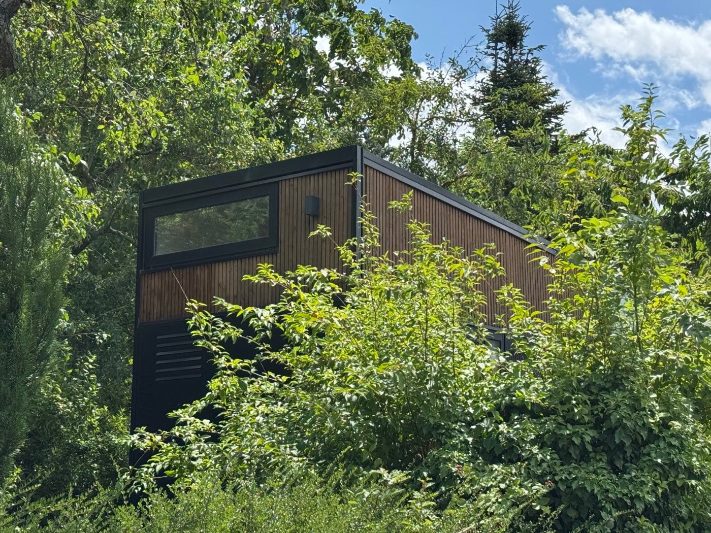 Module à bardage bois brun émergeant d'un bosquet en pleine végétation estivale